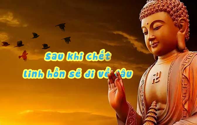 Sau khi chết linh hồn đi về đâu?