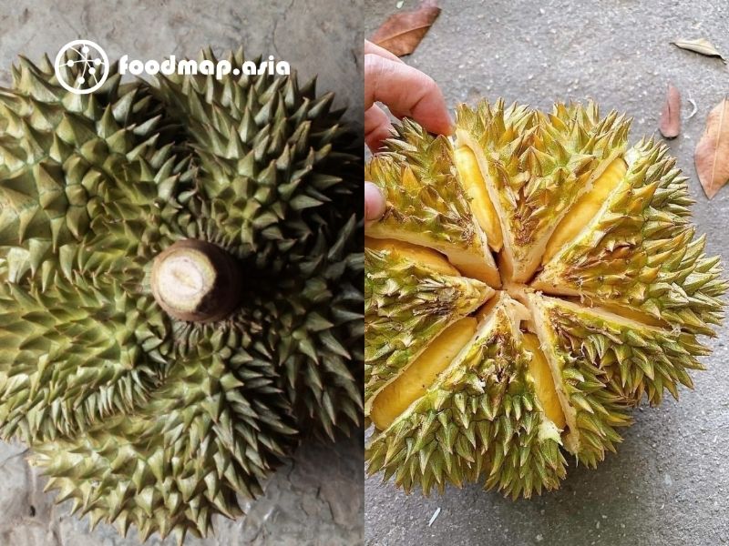 Sầu Riêng 9 Hóa Là Gì? Bí Quyết Chọn Mua Sầu Riêng 9 Hóa Ngọt Ngào
