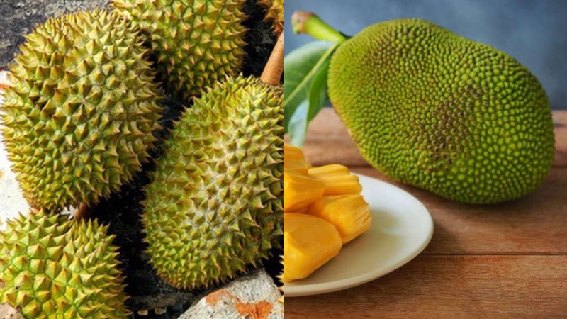 Sầu Riêng Có Thắp Hương Được Không? Gallery 2