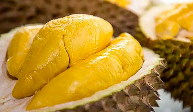 Sầu Riêng Ngon Nhất Việt Nam