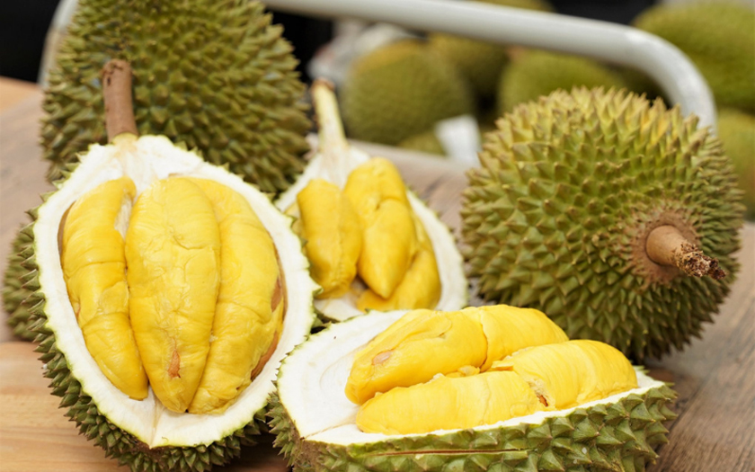 Sầu riêng như thế nào là chín?