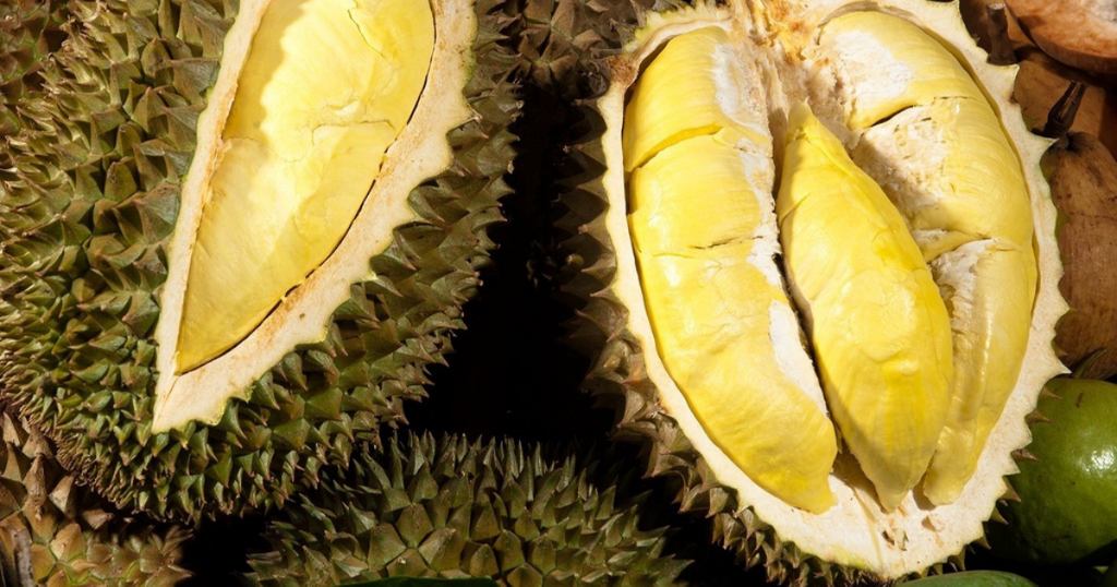 Sầu Riêng Nóng Hay Mát?