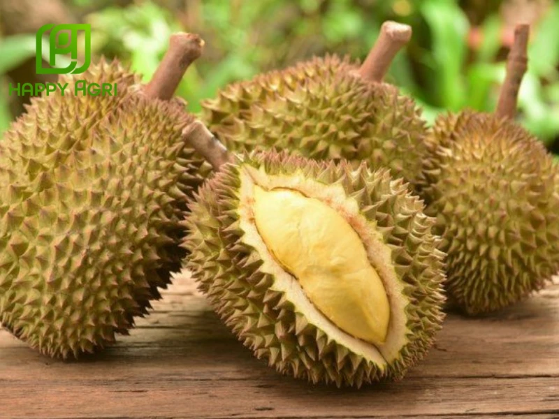 Sầu Riêng Thái Có Mấy Loại?