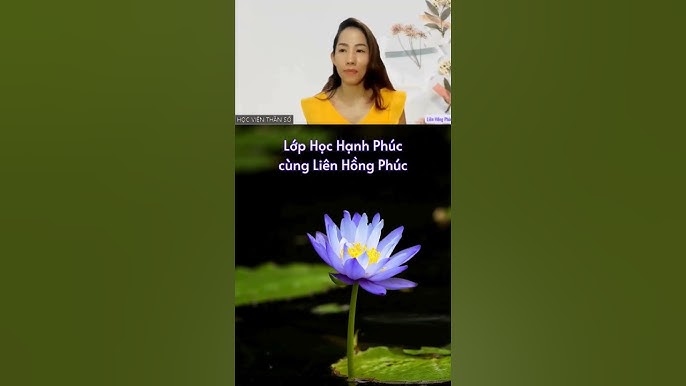 Sâu sắc là gì? Gallery 2