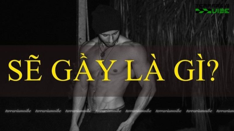 Sẽ. Gay