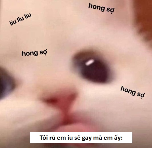 Sẽ Gầy Meme Con Gái