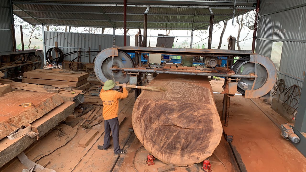 Sẻ Gỗ: Đặc điểm, môi trường sống và tập tính
