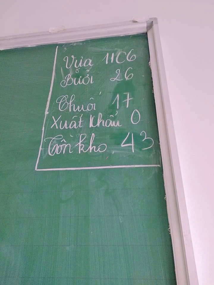 Sỉ số lớp học: Tiêu chuẩn, ảnh hưởng và cách tính