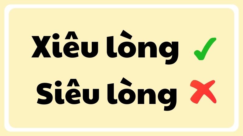 Siêu lòng là gì? Khám phá thế giới Siêu lòng