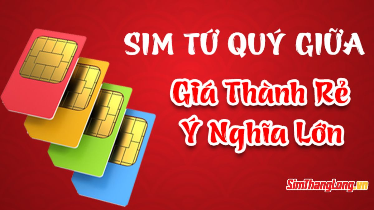 Sim Tứ Quý Giữa - Giá trị và ý nghĩa
