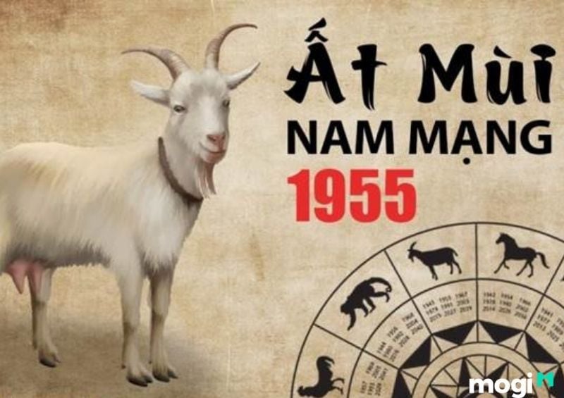Sinh năm 1955 là bao nhiêu tuổi? Gallery 2