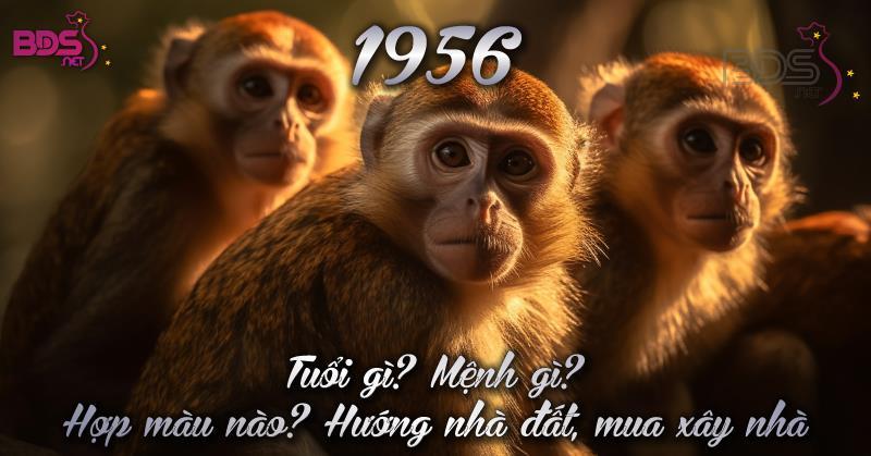 Sinh năm 1956 bao nhiêu tuổi? Gallery 2