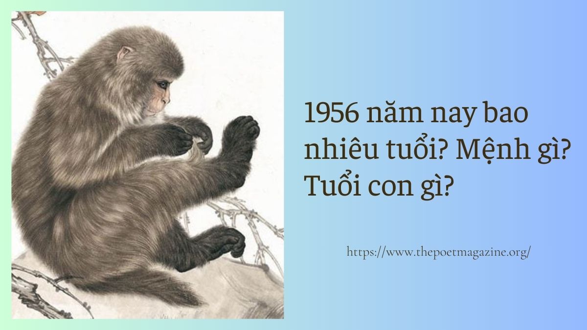 Sinh năm 1956 là bao nhiêu tuổi?