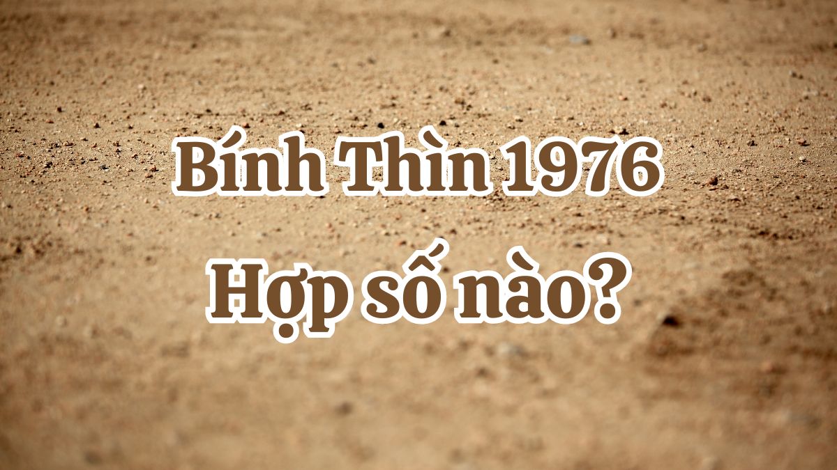 Sinh năm 1976 hợp số nào?