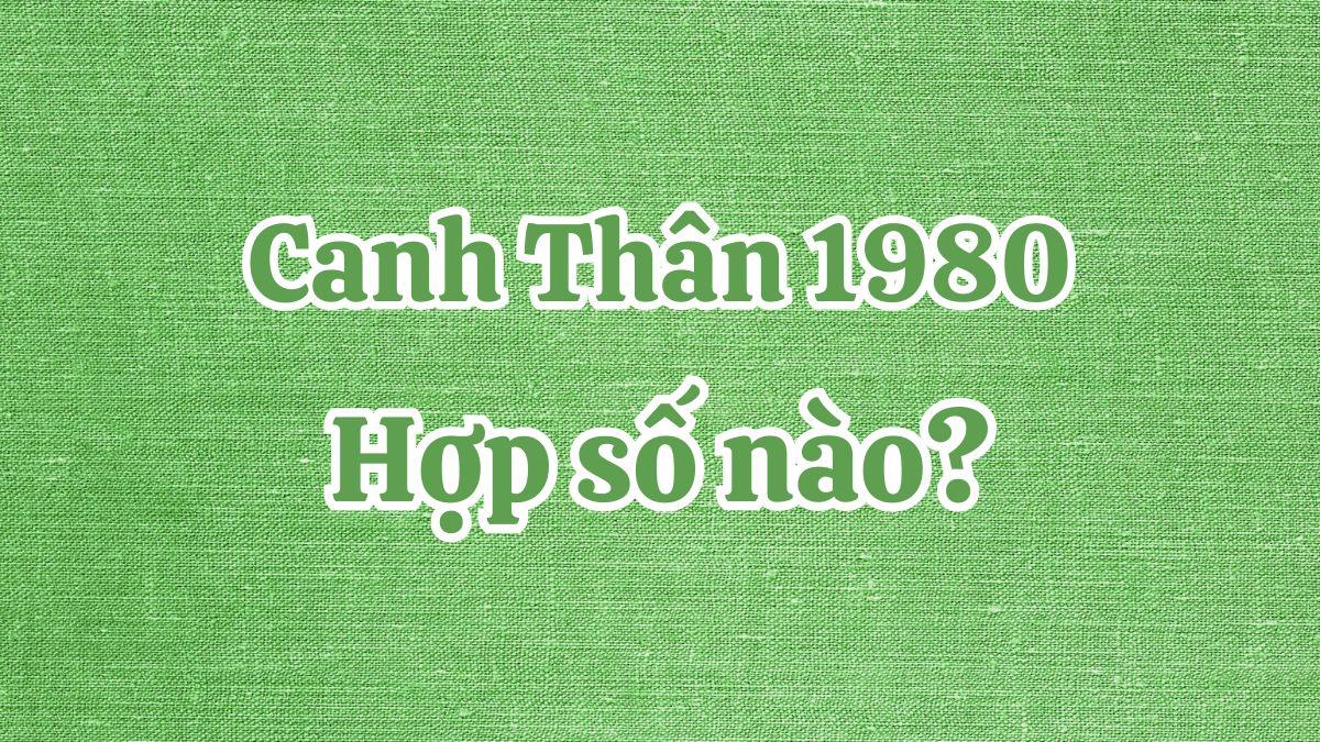 Sinh năm 1980 hợp số nào?