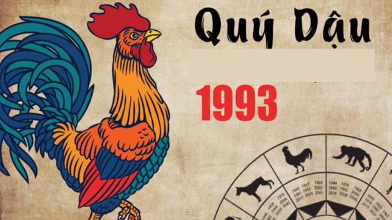 Sinh năm 1993 học lớp 9 năm nào?