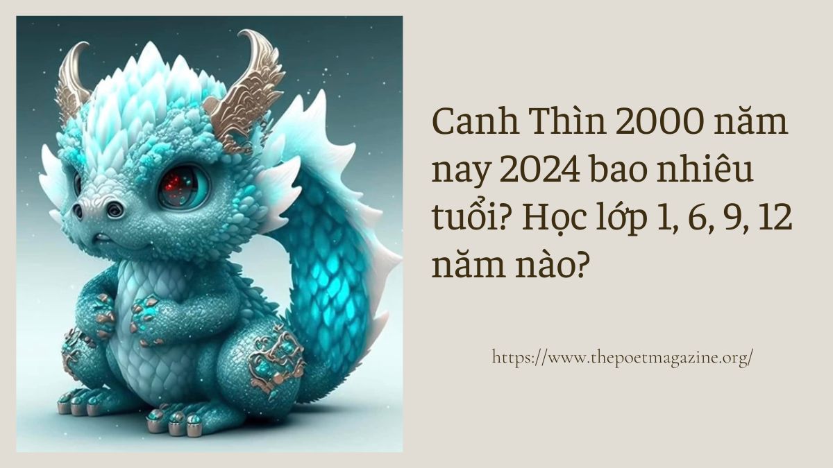Sinh năm 2000 học cấp 1 năm bao nhiêu?