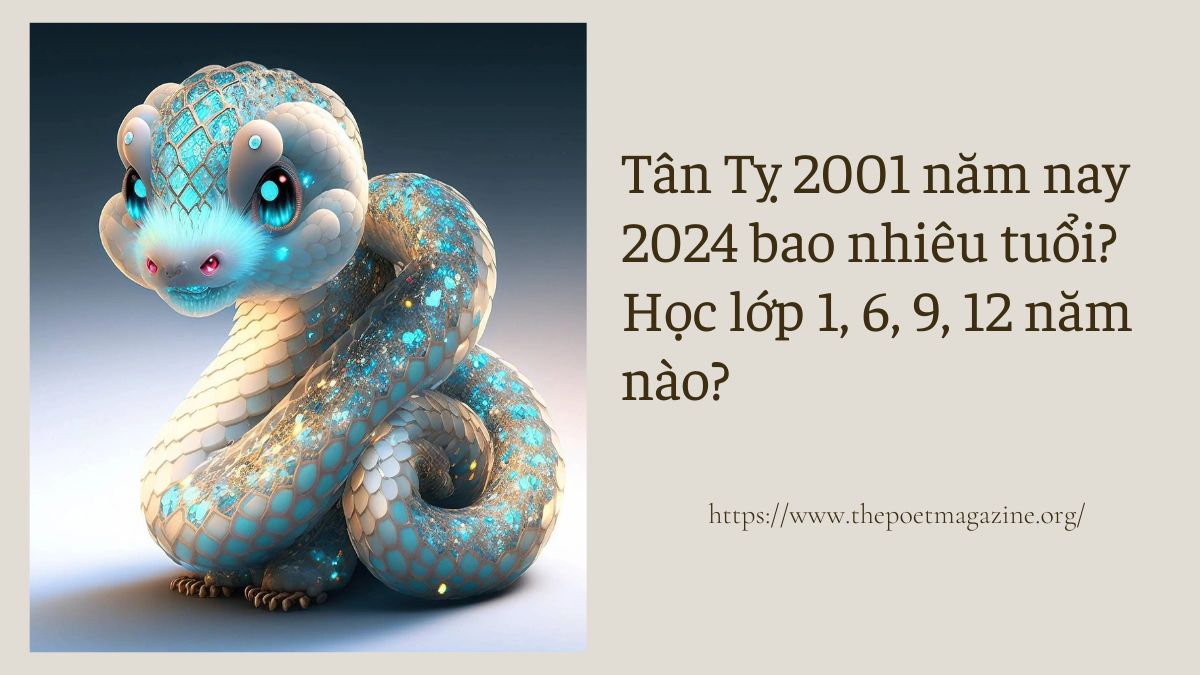 Sinh năm 2001 học lớp 1 năm nào?