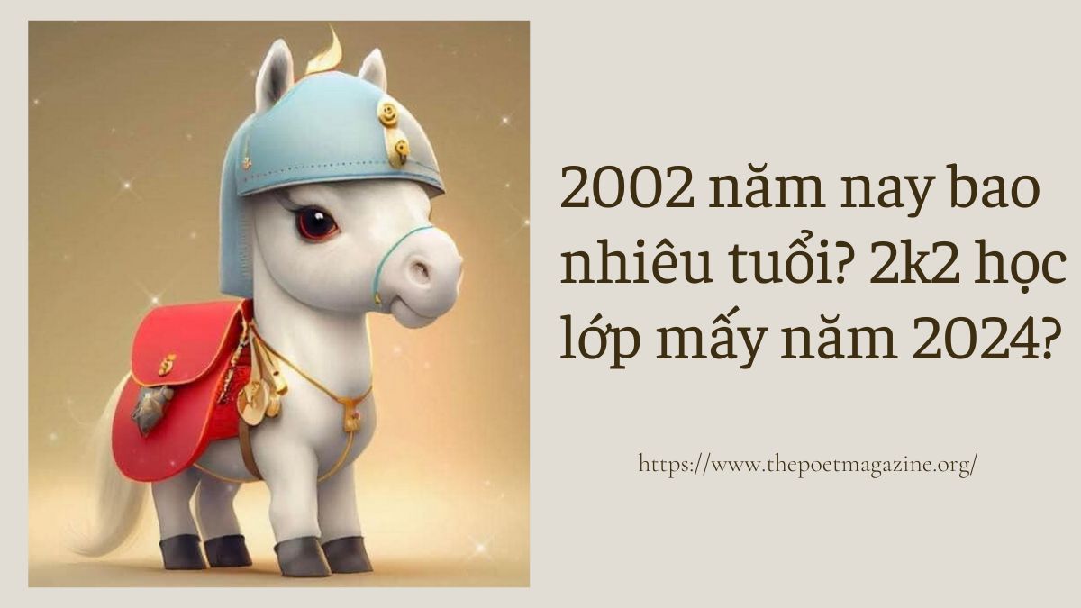 Sinh năm 2002 học lớp 6 năm bao nhiêu?