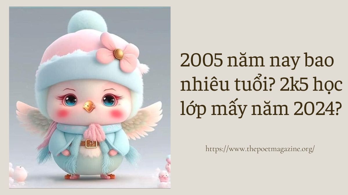 Sinh năm 2005 học lớp mấy?