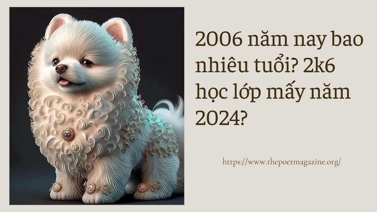 Sinh năm 2006 học lớp mấy? Gallery 2