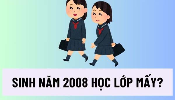 Sinh năm 2008 học lớp mấy?