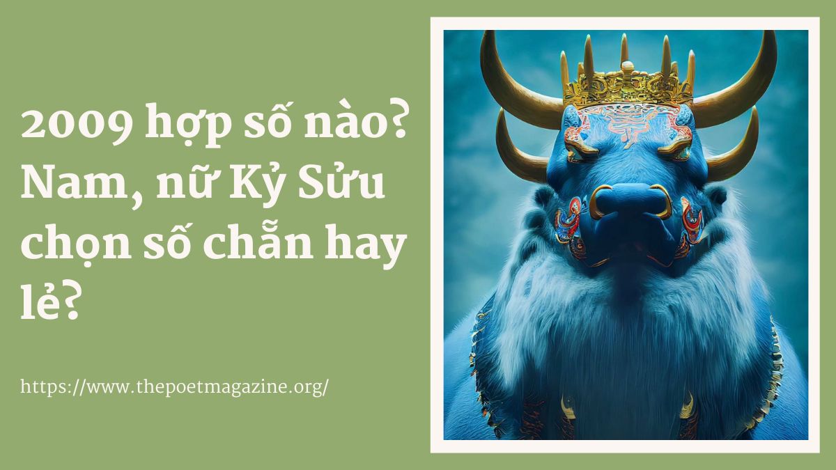 Sinh năm 2009 hợp số nào?