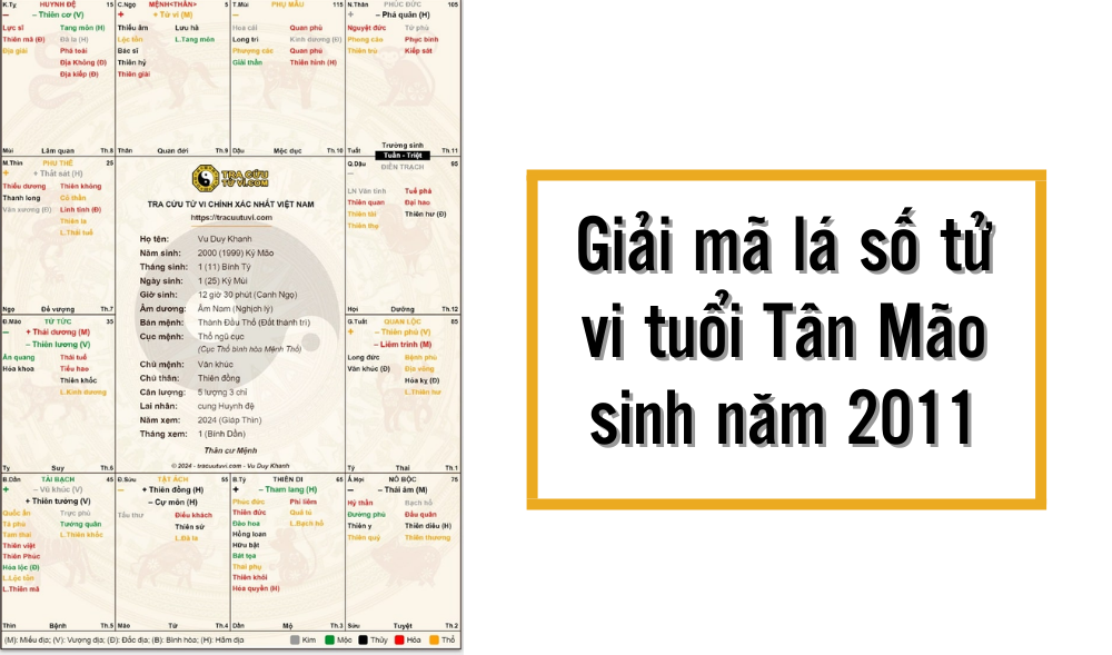 Sinh năm 2011 hợp số nào?