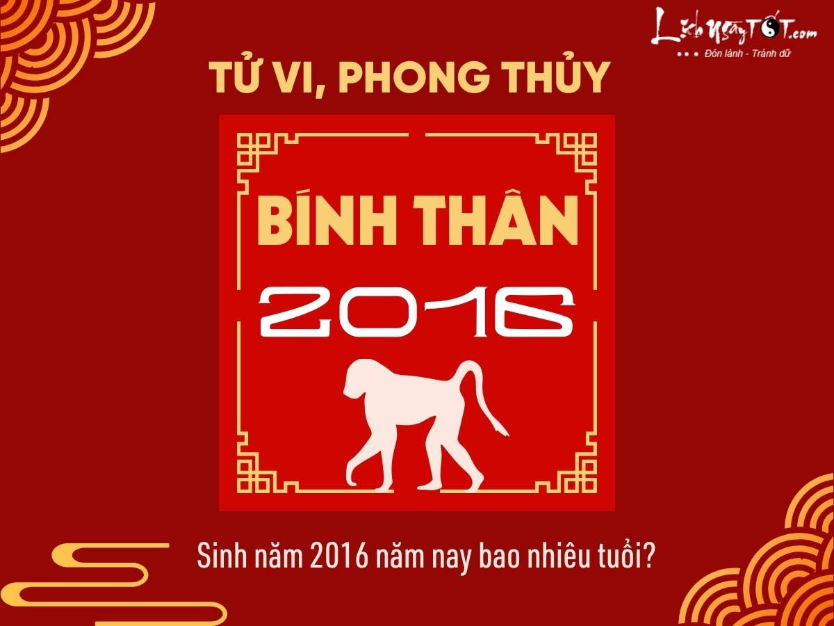 Sinh năm 2016 bao nhiêu tuổi?