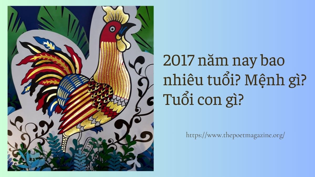 Sinh năm 2017 bao nhiêu tuổi? Gallery 2