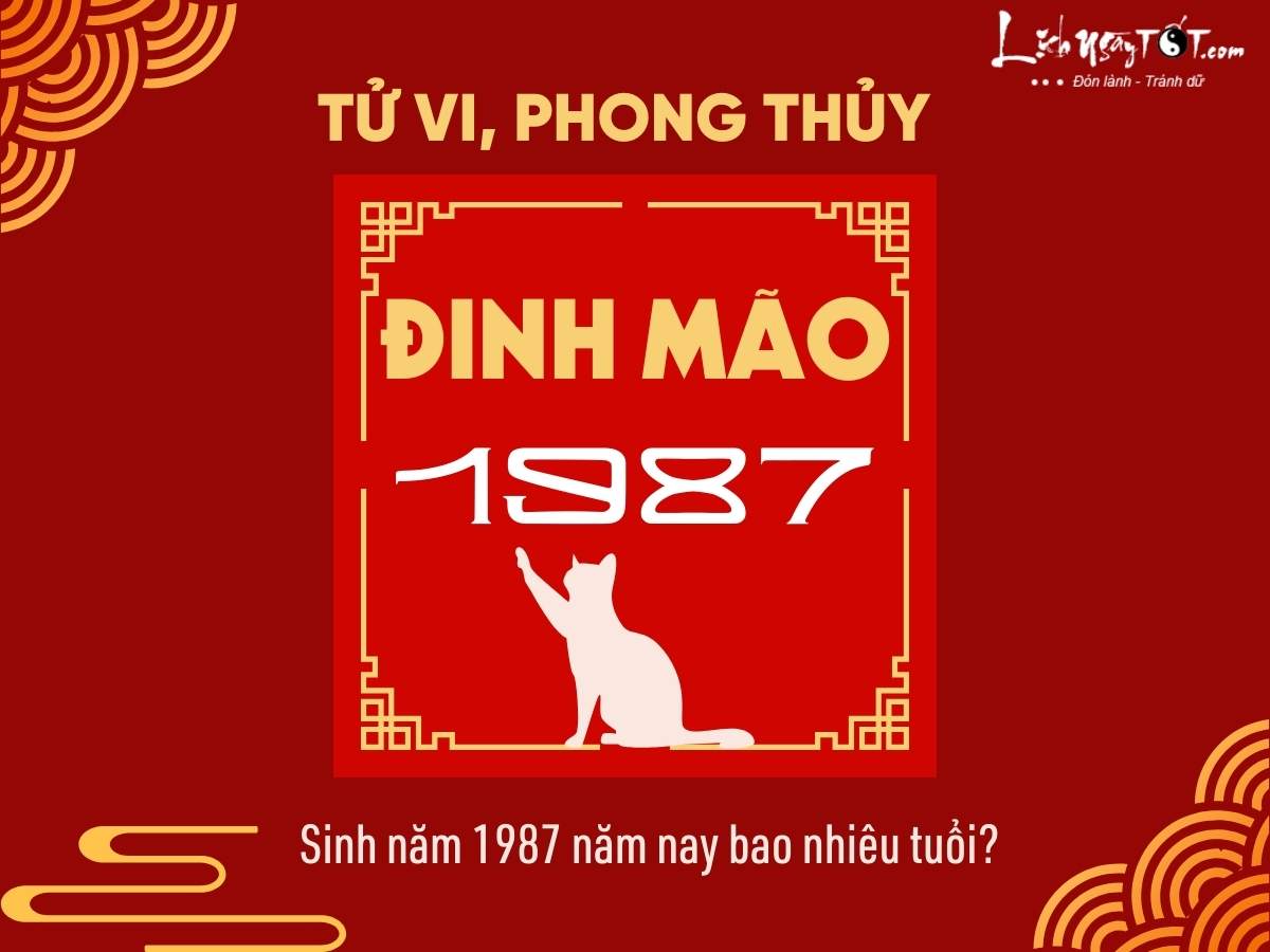 Sinh năm 87 năm nay bao nhiêu tuổi?