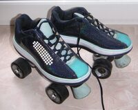 Skating dịch sang tiếng Việt là gì?
