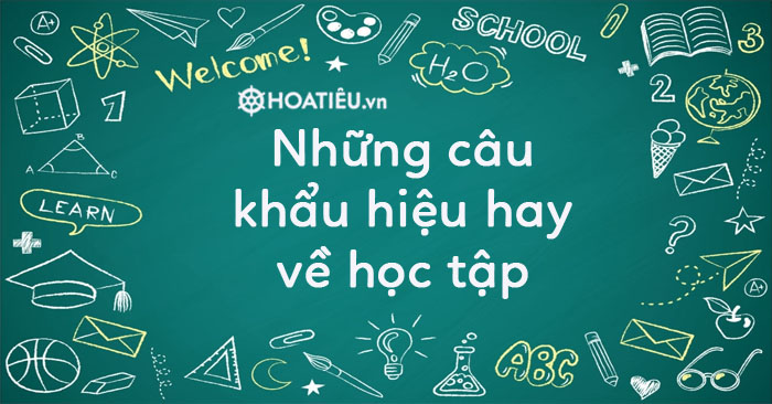 Những Slogan Học Tập Hay và Ý Nghĩa Nhất