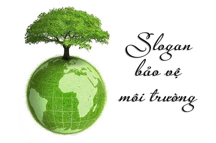 Slogan Hay Về Bảo Vệ Môi Trường: Những Thông Điệp Ý Nghĩa