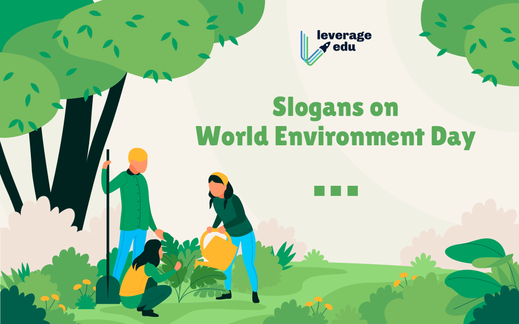 Slogan Hay Về Rác Thải Nhựa: Cùng Bảo Vệ Môi Trường Xanh