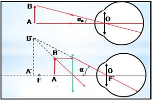 Số bội giác là gì?