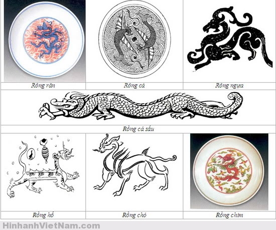 Con Rồng Có Mấy Chân? Gallery 1