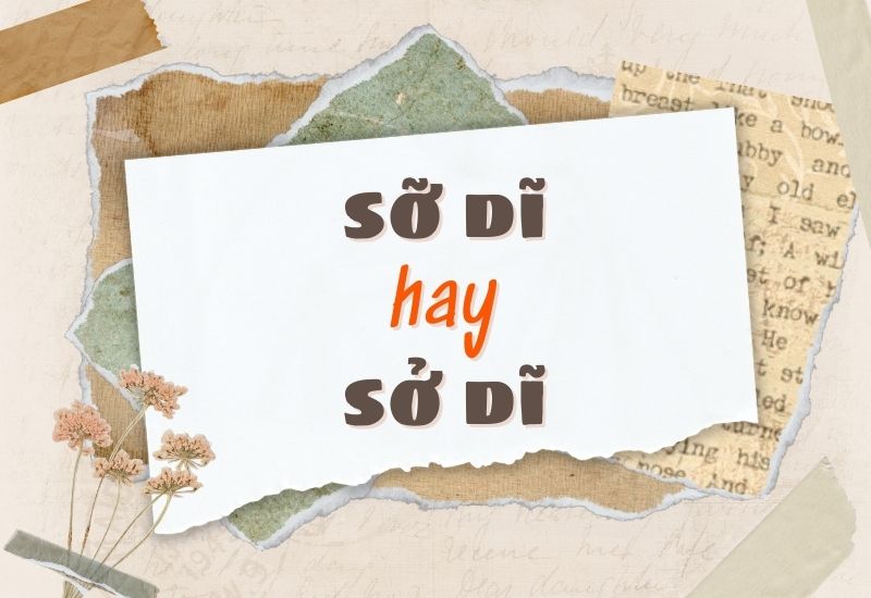 Sở dĩ