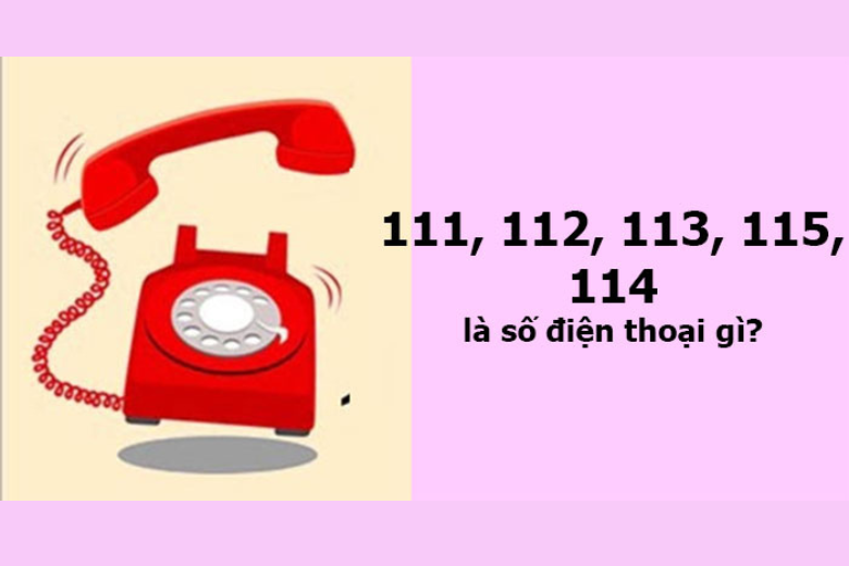 Số điện thoại 111 có ý nghĩa gì? Gallery 2