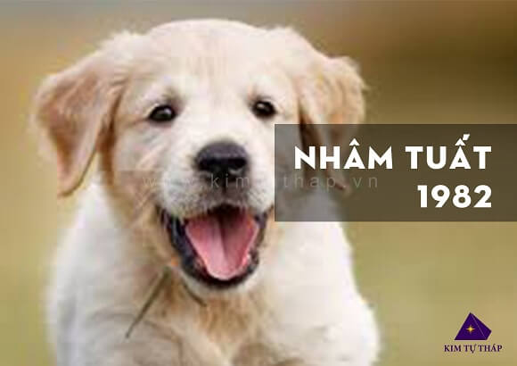 Tuổi Nhâm Tuất 1982 Hợp Với Số Điện Thoại Nào? Gallery 1