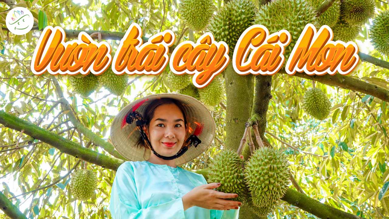 Số Điện Thoại Vườn Trái Cây Cái Mơn