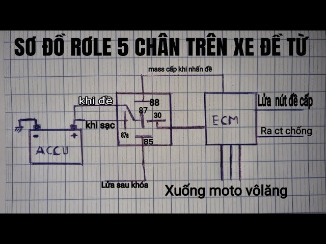 Cấu tạo Relay 5 chân Gallery 2