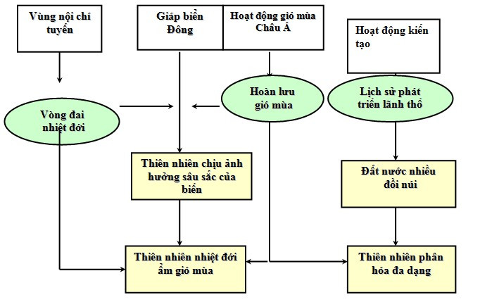 Sơ đồ hóa là gì?