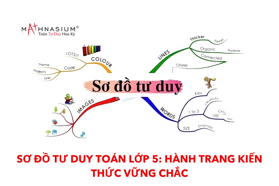 Sơ Đồ Tư Duy Lớp 5: Hướng Dẫn Chi Tiết Và Ví Dụ Minh Họa