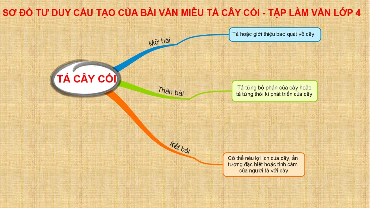 Sơ đồ tư duy tả cây cối lớp 4