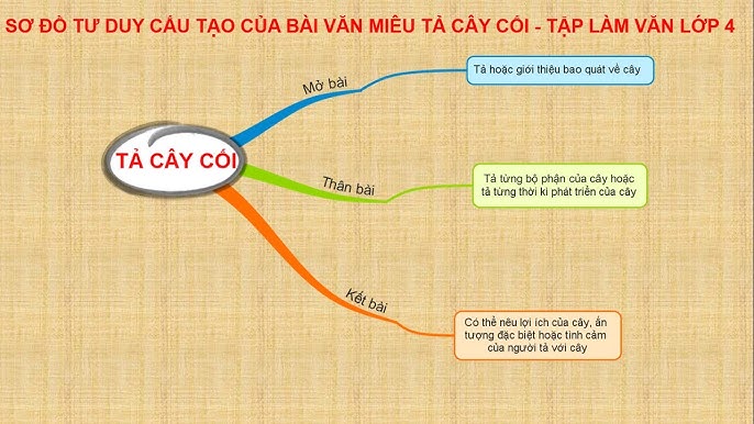 Sơ đồ tư duy tả cây cối lớp 4 Gallery 2