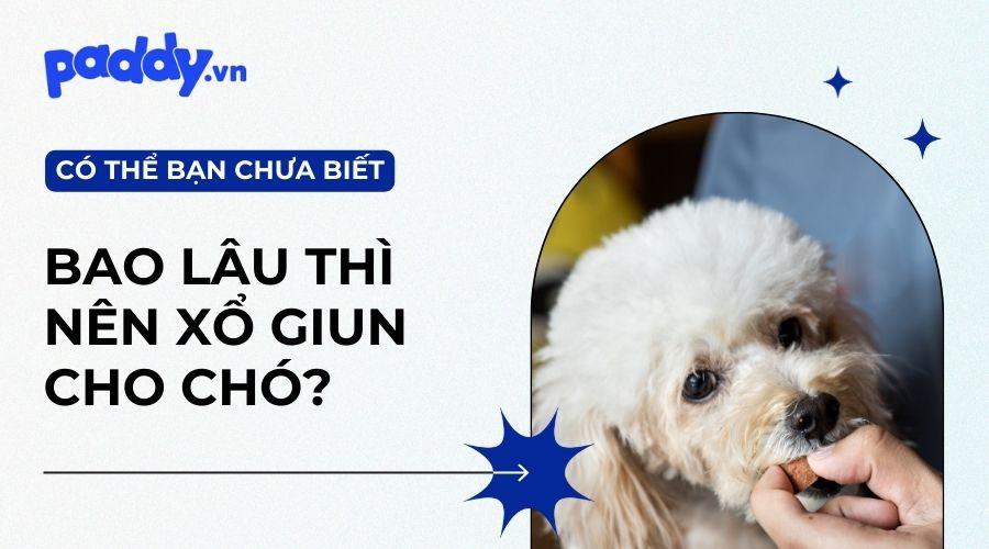 Sổ giun cho chó khi nào? Gallery 2