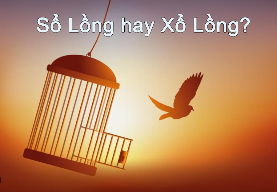 Sổ Lồng Hay Xổ Lồng?