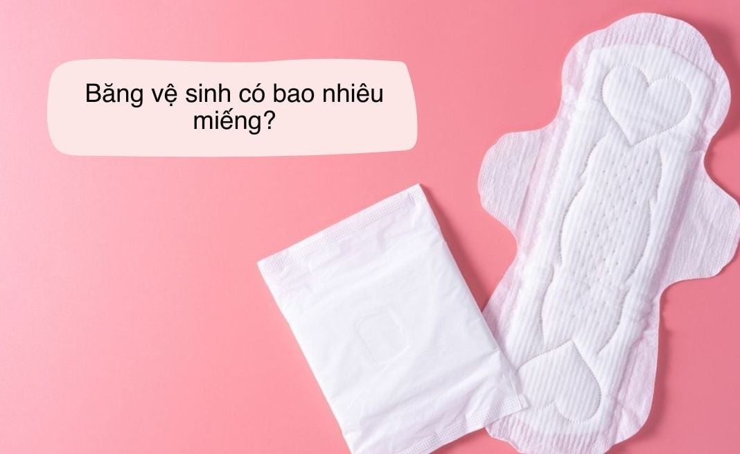1 Bịch Băng Vệ Sinh Bao Nhiêu Cái? Gallery 1