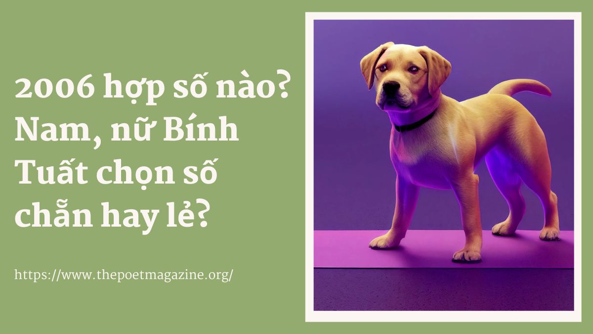 Nữ sinh 2006 hợp số nào? Gallery 1